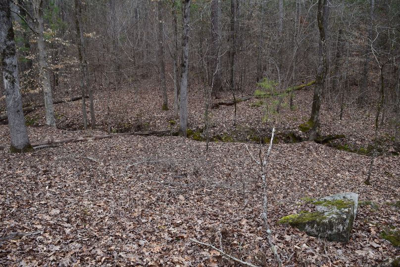 77 spring running through middle of property