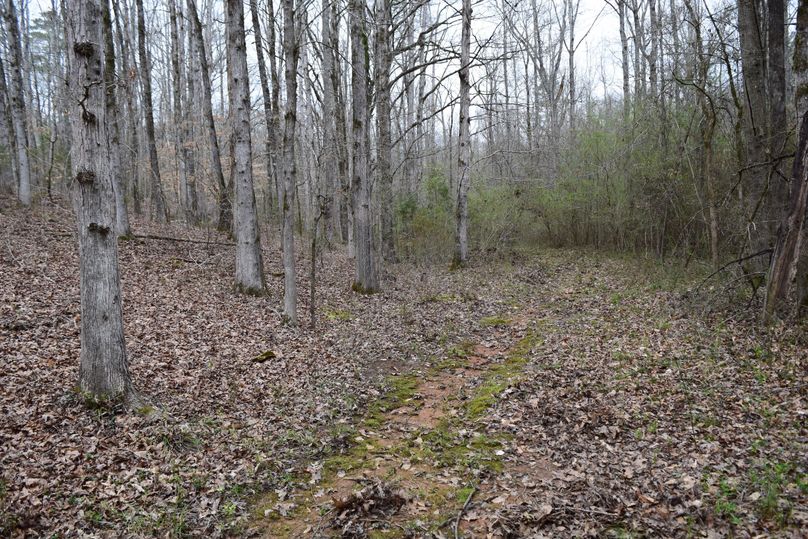 86 interior road going down to falling creek