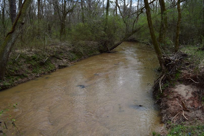 88 falling creek at its best!!