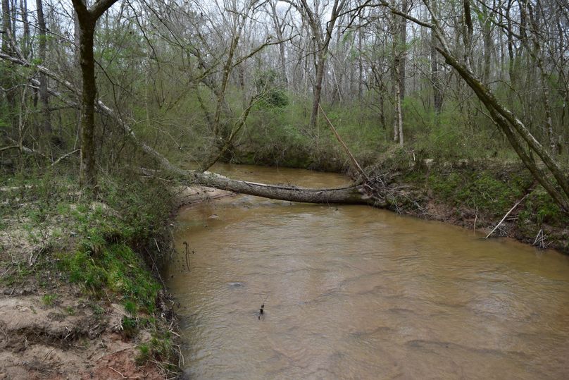 89 year round water source