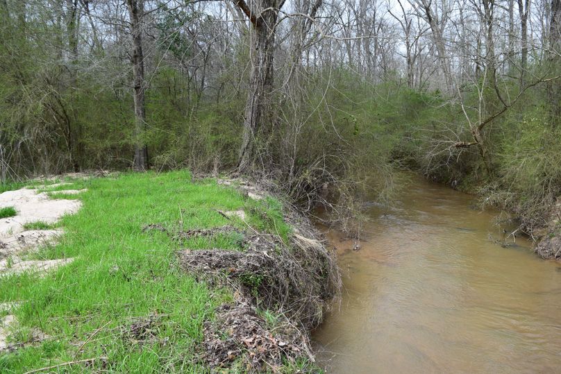 92 southeast corner of property at falling creek