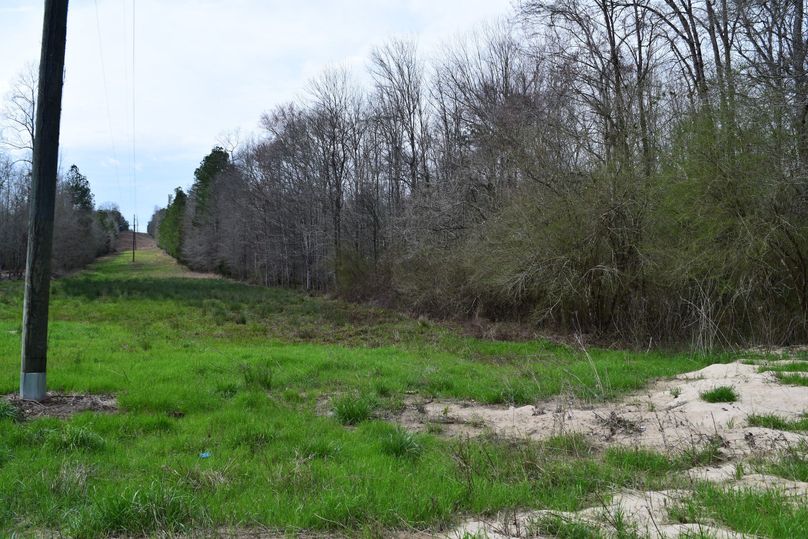 93 powerline frontage along southern boundary line