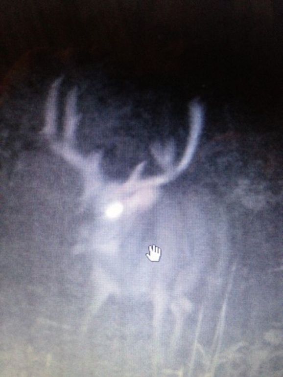 Trail5 monster buck!!