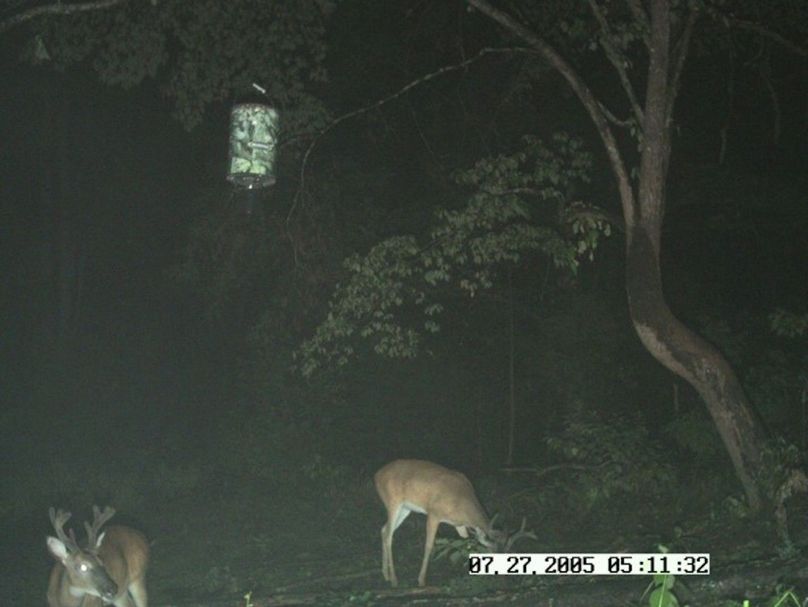 Trail8 bachelor group