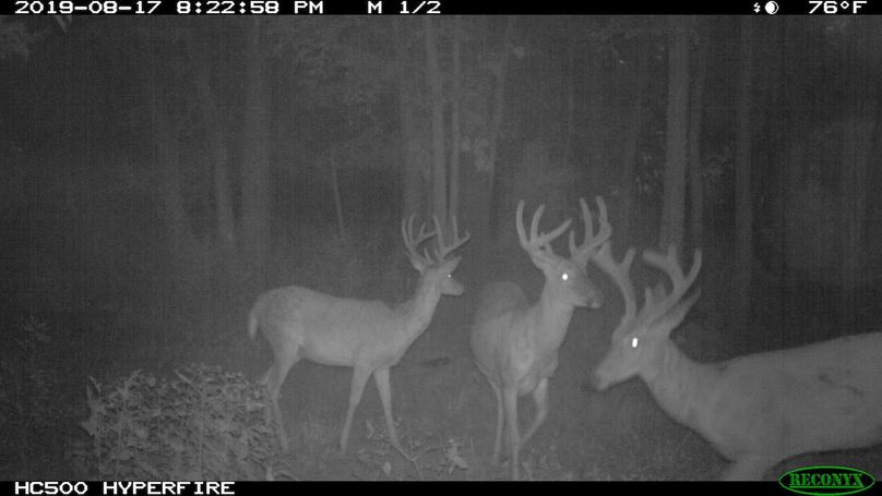 Img 0349 - copy - copy