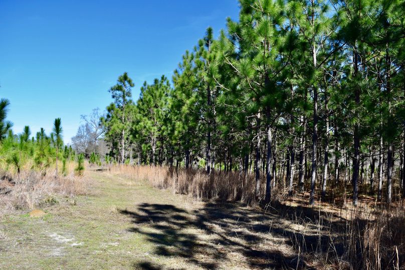 54 west property line of 30 acre tract