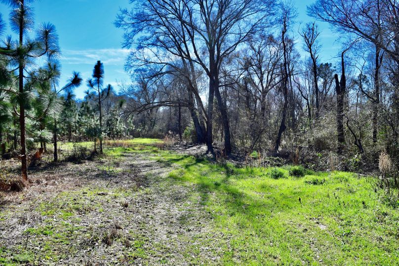 66 harwood creek along southeast property line