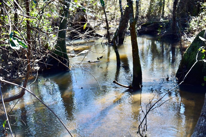 68 feeder creek into reedy creek along southeast property line