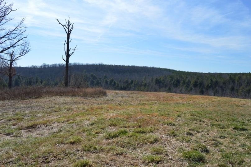 Unadjustednonraw thumb 72b1