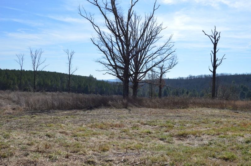 Unadjustednonraw thumb 72b2