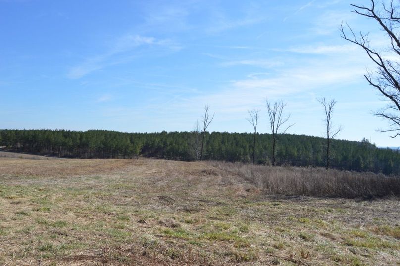 Unadjustednonraw thumb 72b4