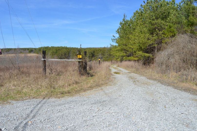 Unadjustednonraw thumb 72c6