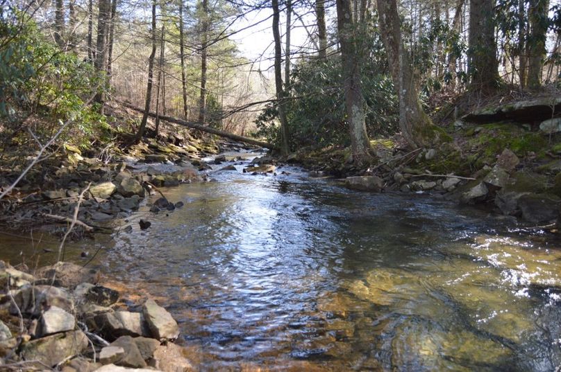 Unadjustednonraw thumb 72cb