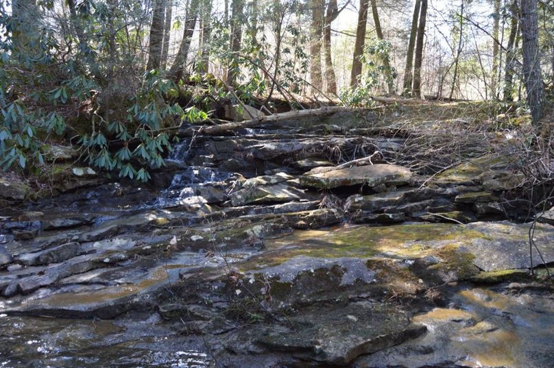 Unadjustednonraw thumb 72cc