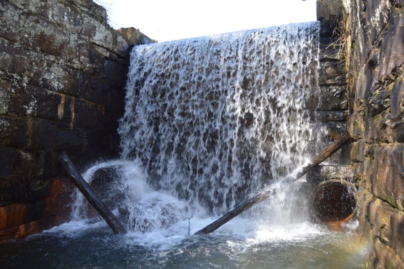 Unadjustednonraw thumb 72d0