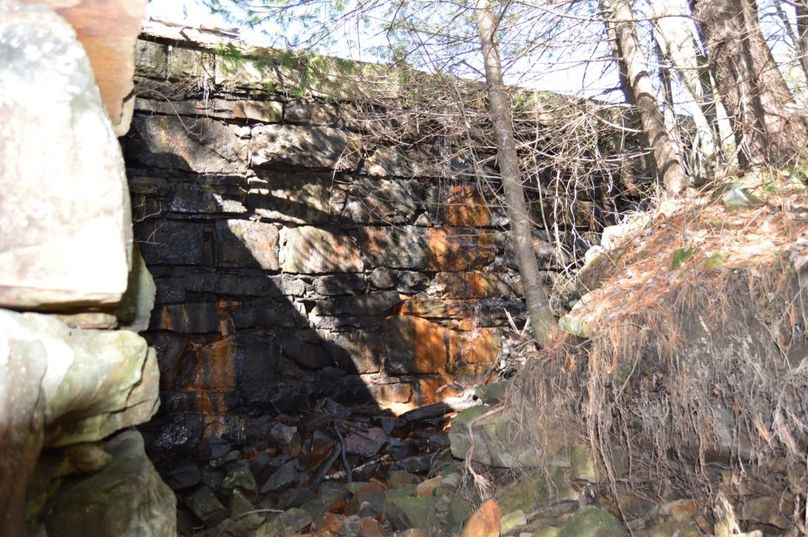 Unadjustednonraw thumb 72d1