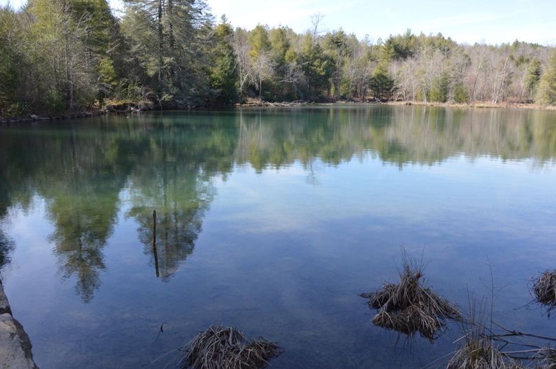 Unadjustednonraw thumb 72d3