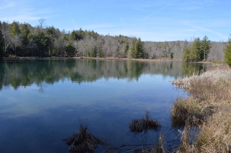 Unadjustednonraw thumb 72d4