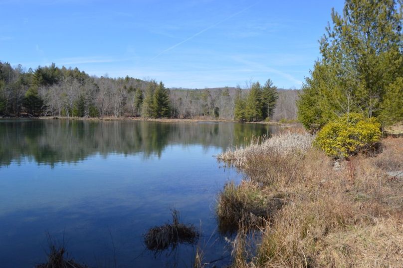 Unadjustednonraw thumb 72d5