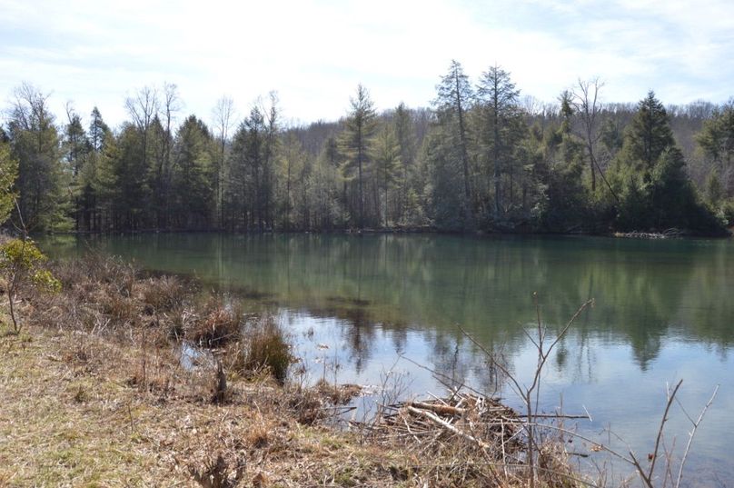 Unadjustednonraw thumb 72d8