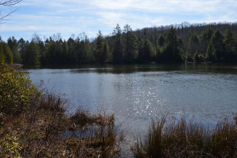 Unadjustednonraw thumb 72d9