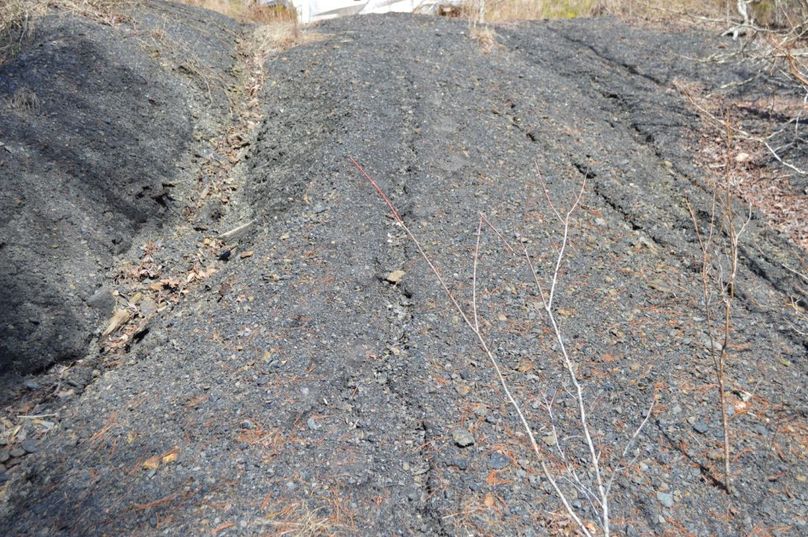 Unadjustednonraw thumb 72da