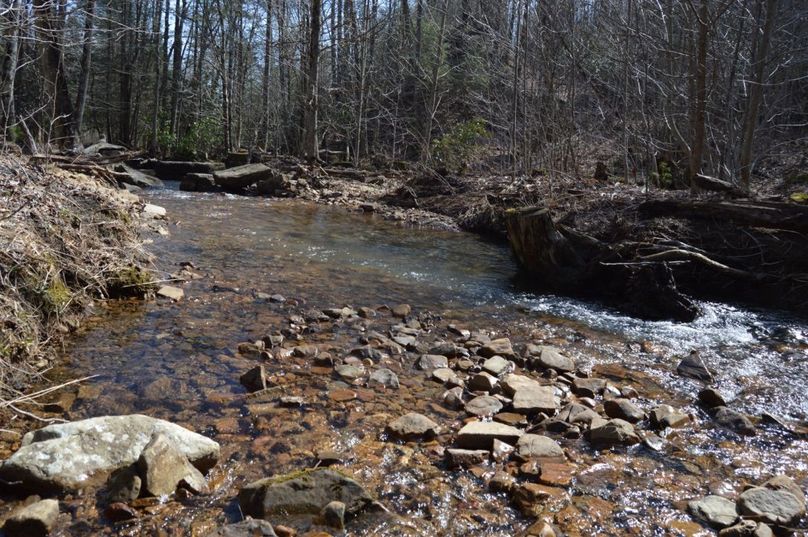 Unadjustednonraw thumb 72db