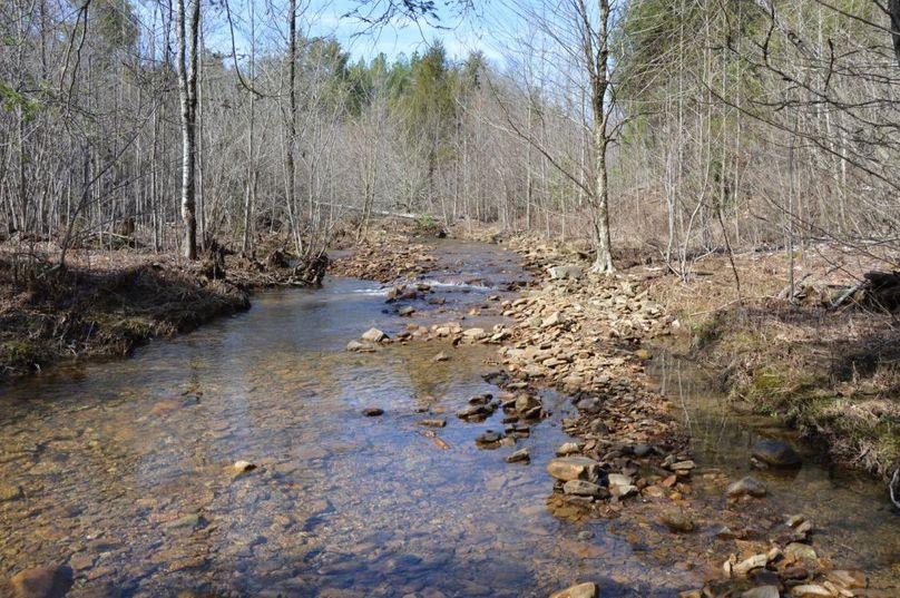 Unadjustednonraw thumb 72dc