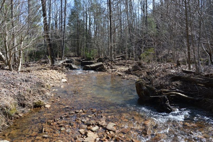 Unadjustednonraw thumb 72dd