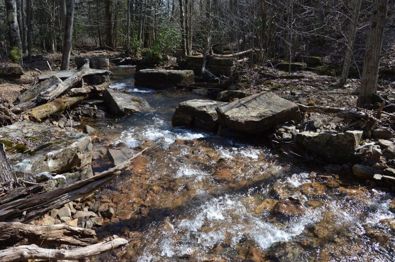 Unadjustednonraw thumb 72de