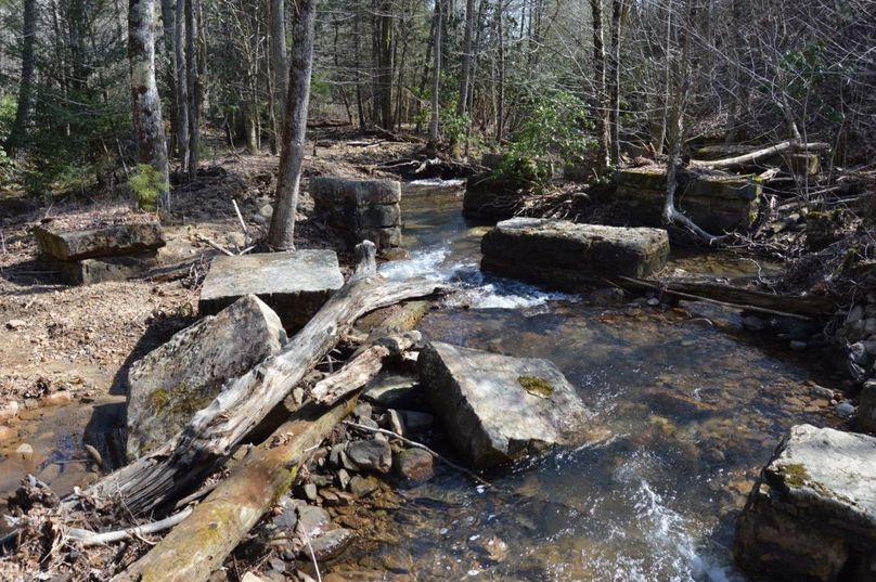 Unadjustednonraw thumb 72df