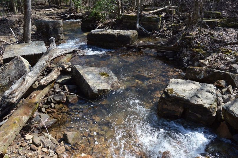 Unadjustednonraw thumb 72e2