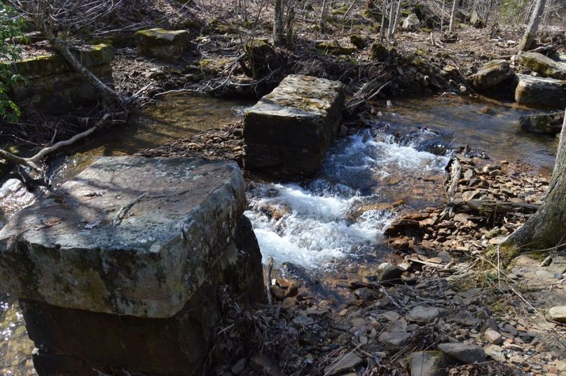 Unadjustednonraw thumb 72e4