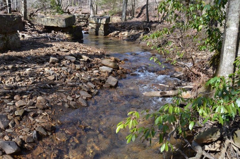 Unadjustednonraw thumb 72e6