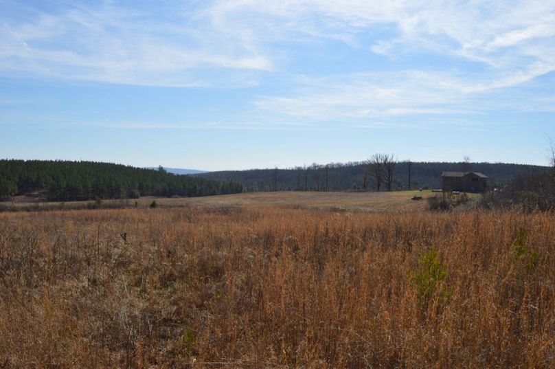 Unadjustednonraw thumb 72e8