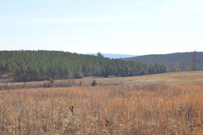 Unadjustednonraw thumb 72e9