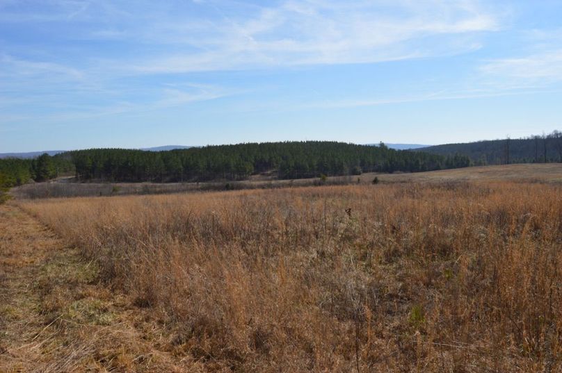 Unadjustednonraw thumb 72ea