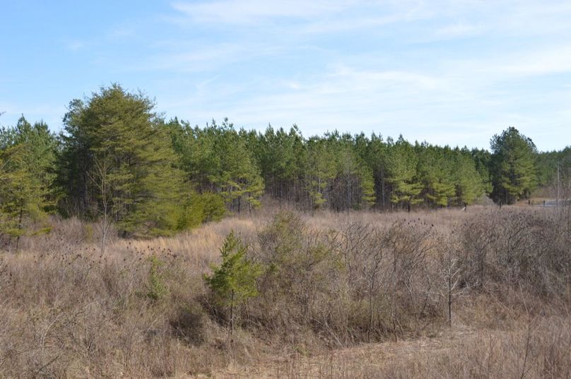 Unadjustednonraw thumb 72eb