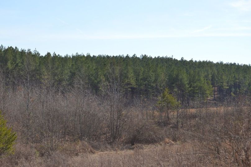 Unadjustednonraw thumb 72ec