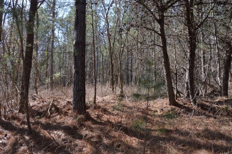 Unadjustednonraw thumb 72ed