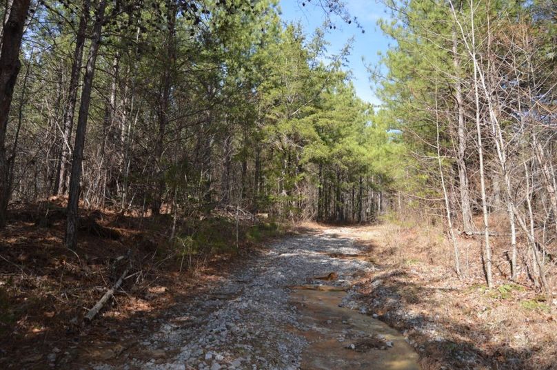 Unadjustednonraw thumb 72ee