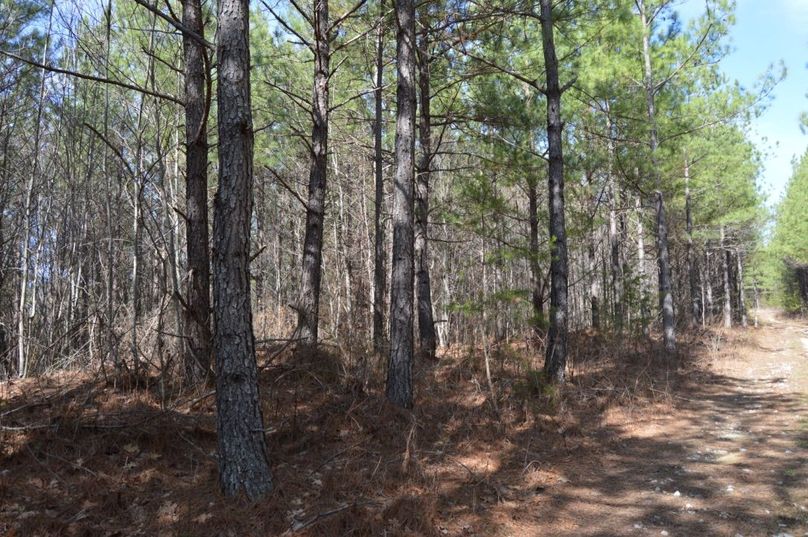 Unadjustednonraw thumb 72ef