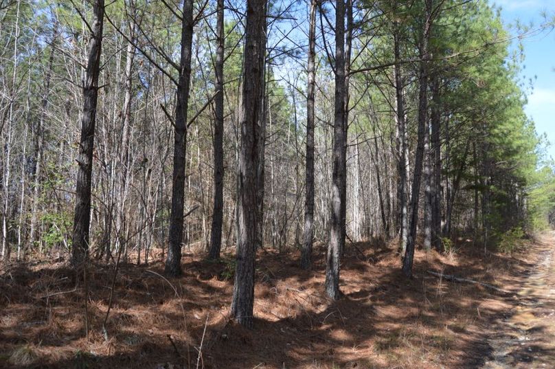 Unadjustednonraw thumb 72f0