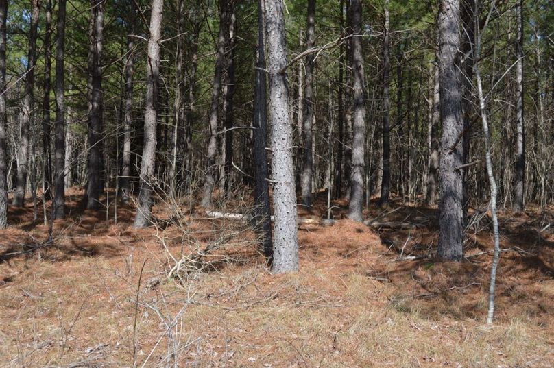 Unadjustednonraw thumb 72f3