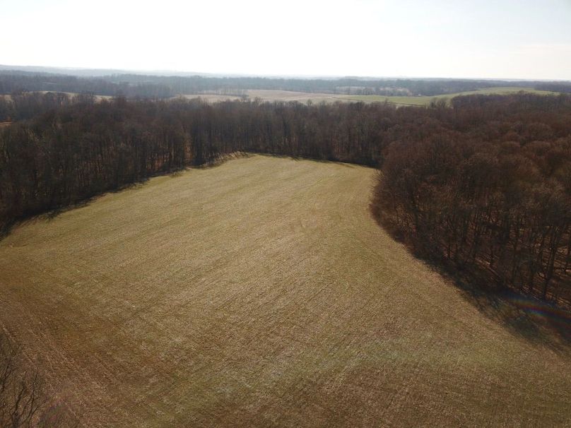 Mx wqzvrum2qanjdht6g thumb 5cb2