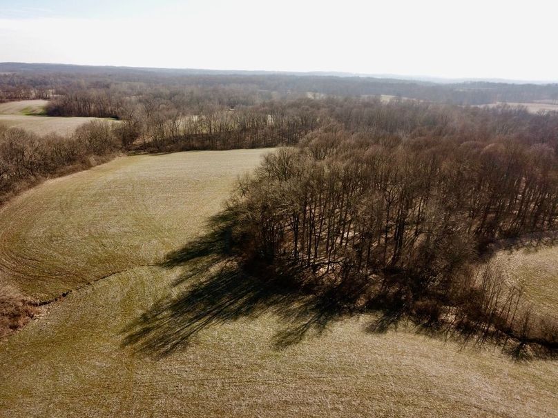 Nzujowoptusokwttwwvp0w thumb 5cb0