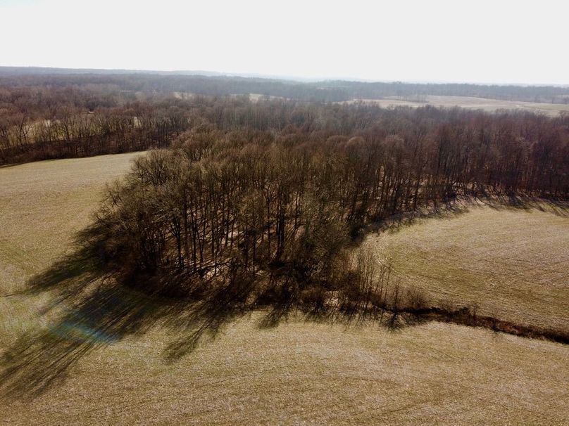 Intvd0kjrasiitxgxzaauq thumb 5cb1