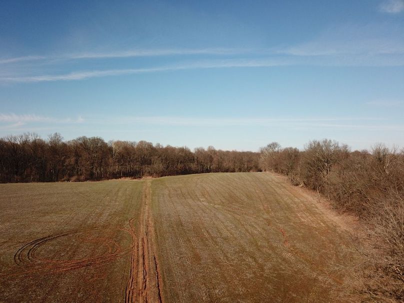 Unadjustednonraw thumb 5c9d