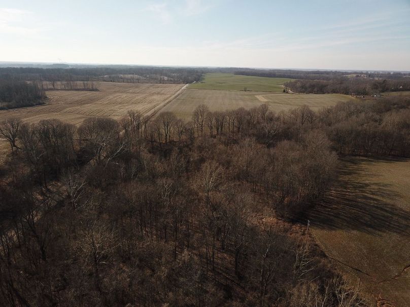 Unadjustednonraw thumb 5c9f