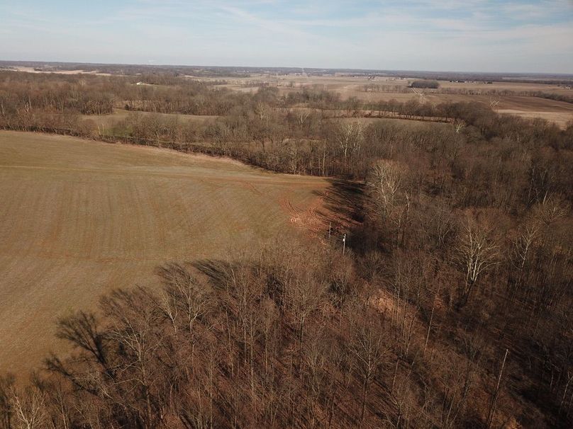 Unadjustednonraw thumb 5ca0